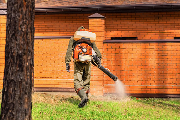 Top rated local Ant Control specialists in Fort Gibson, OK